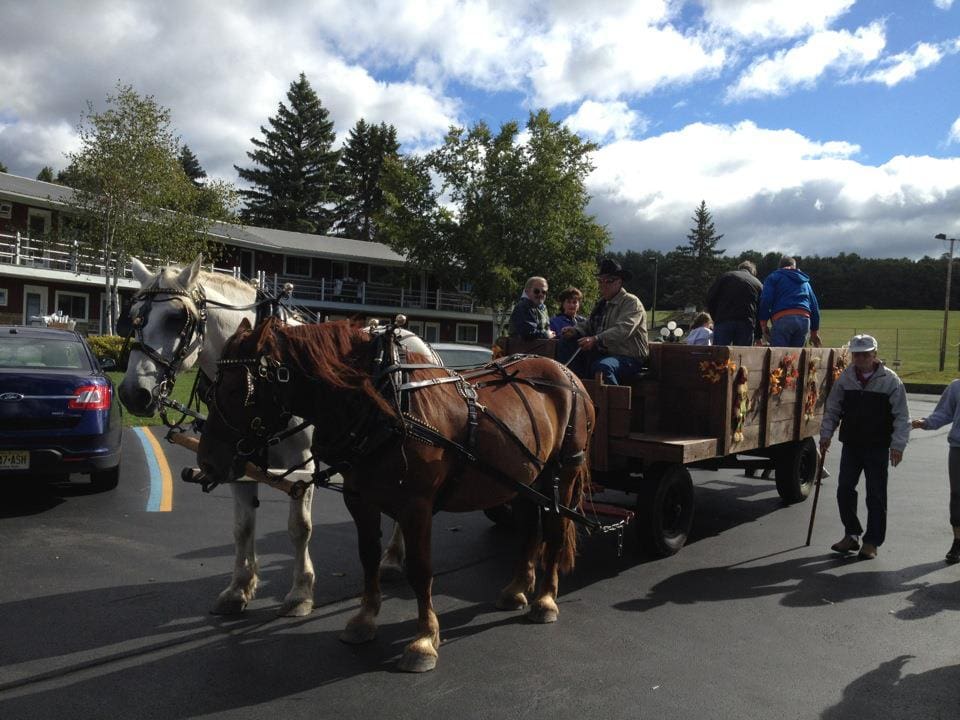 A horse-drawn cart filled with people prepares to go for a ride at Sunny Hill Resort and Golf Course.