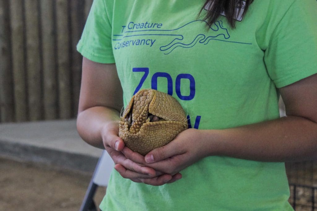 A teen girl holds a small animal at The Creature Conservancy, one of the best places in Michigan to visit with kids.