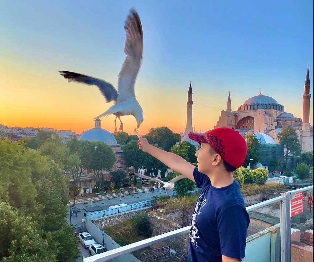 A seagull flies down to take a french fry from the hand of a young boy in Istanbul, knowing what to do is part of learning all about Turkey with kids.