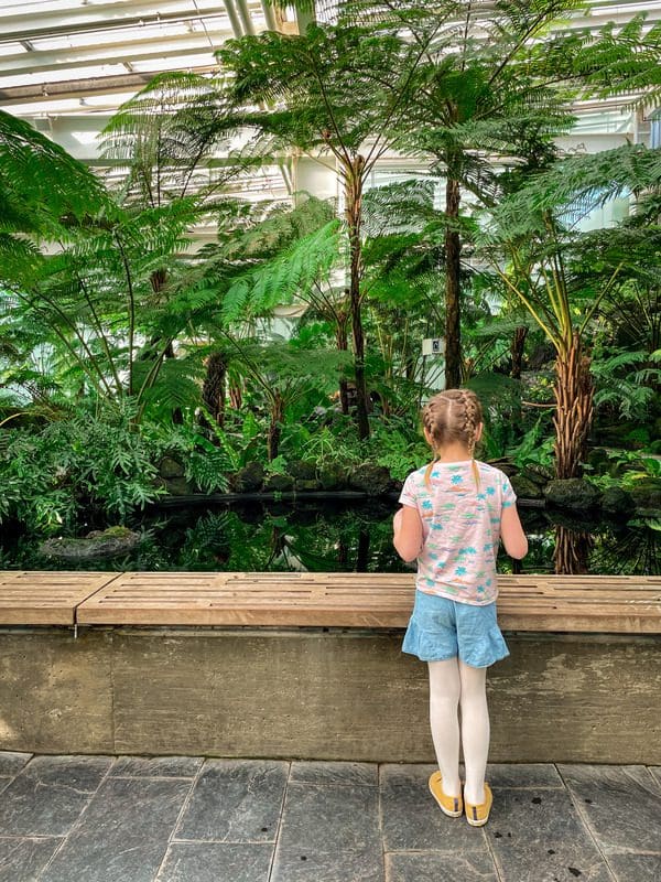 A young girl looks into a coy pond in a tropical foliage room at the Como Park Zoo & Conservatory, one of the best places to explore in the Twin Cities with kids.
