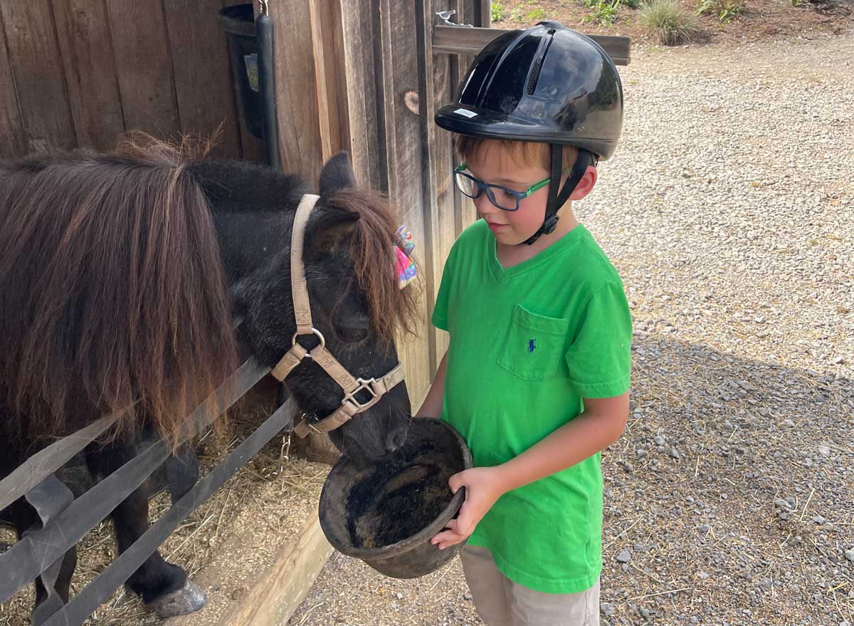 A young boy feeds a pony from a pail at Blackberry Farm.