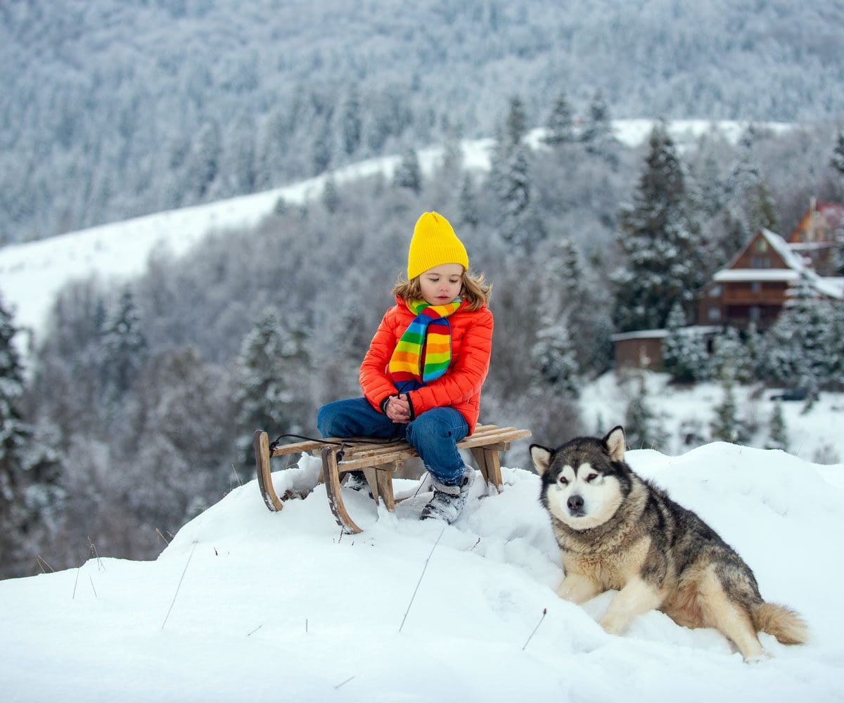A young girl in winter gear sits on a snowbank with a sled and a dog in a wintery Finland landscape.