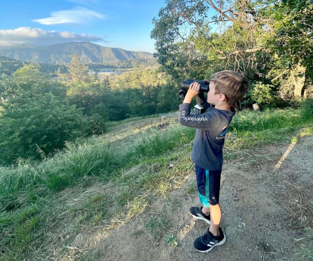 A young boy wearing binoculars looks out over a scenic view in Julia, California.