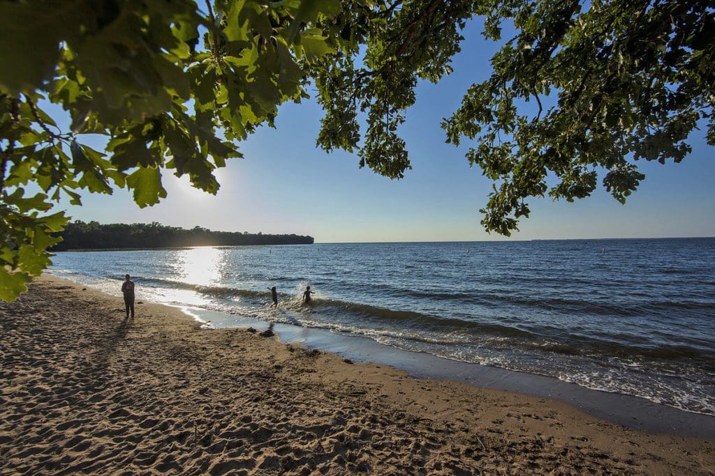 Someone throws rocks into Lake Mille Lacs, while two kids swim nearby, on a sunny, summer day.
