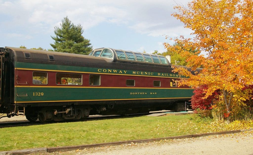 The Conway Scenic Railroad train whizzes by a tree illuminated in fall hues of gold and red.