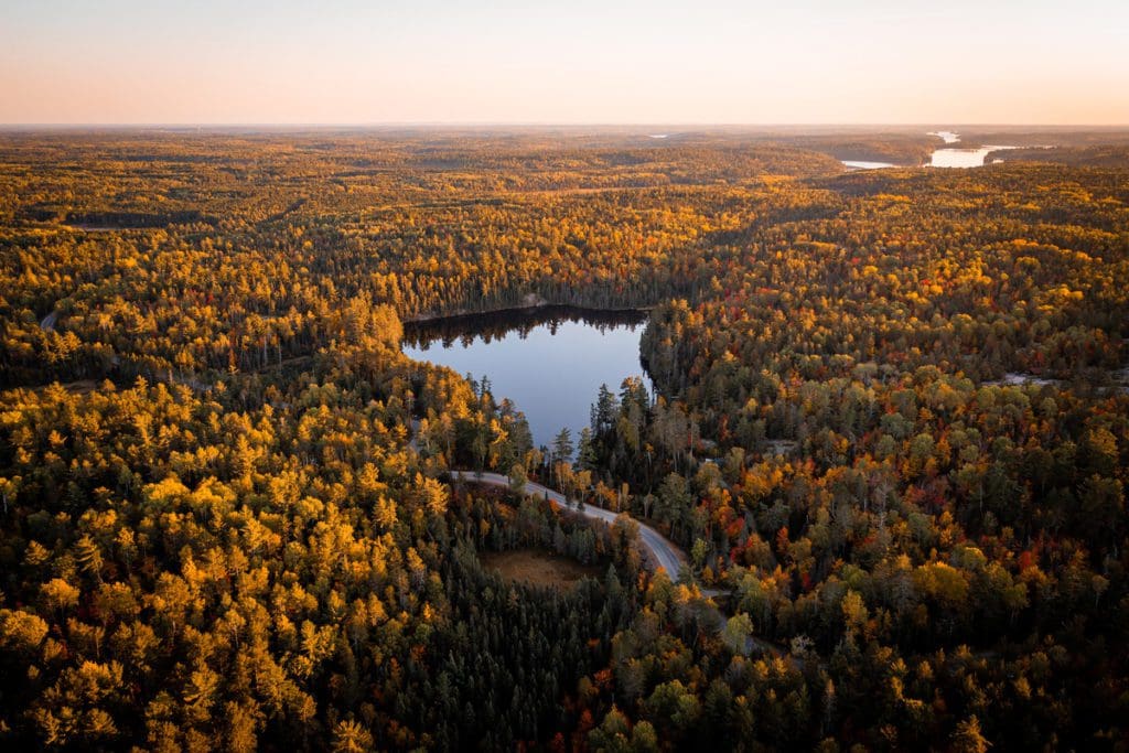 An aerial view of rich autumn colors in Ely, Minnesota, surrounding a lake, one of the best places to visit northern Minnesota with kids.