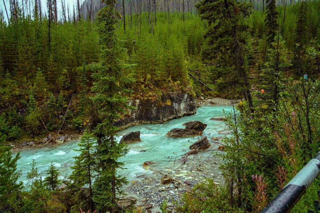 A turquoise-colored river flows through Marble Canyon near Kootenay.