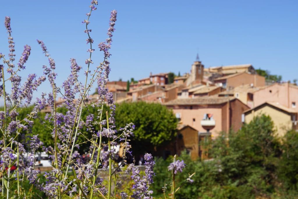 A stunning view of a Roussillon, France through a sprig of lavender.