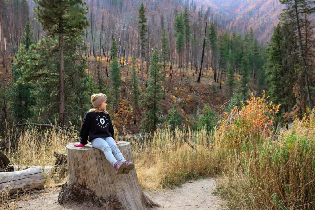 A young girl sits on a large stump while exploring a trail in the Boise National Forest, one of the best things to do near Boise with kids.