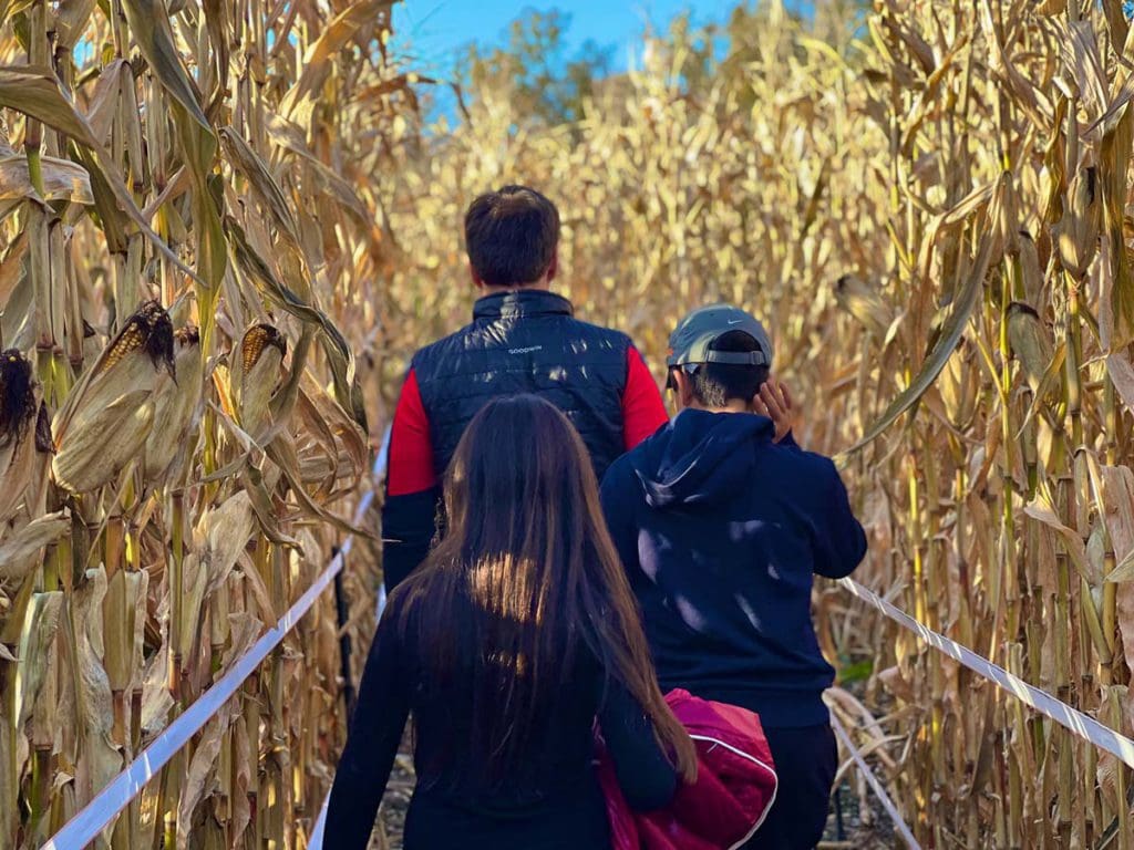 A dad and his two kids walk through a corn maze at Ioka Valley Farm.