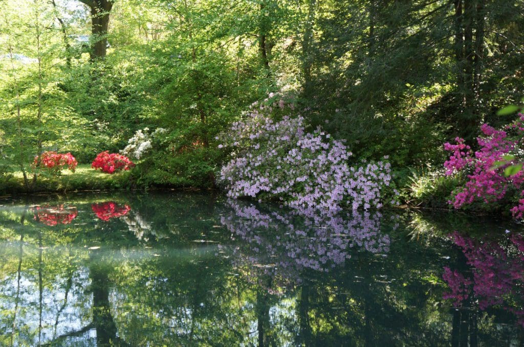 Seasonal flowers bloom near a pond at Kilgore-Lewis House.