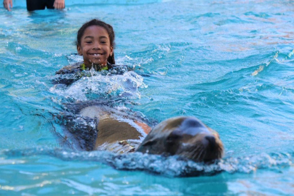 A young girl swims behind an otter at an animal encounter experience at SeaWorld San Antonio.