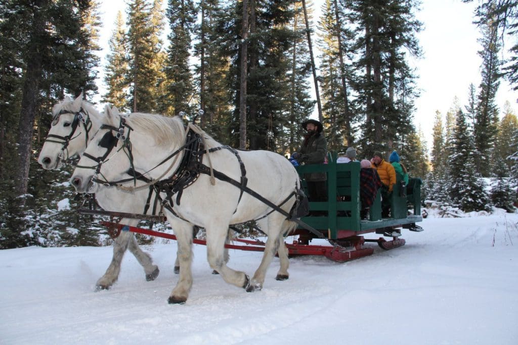 A horse-drawn sleigh carries a wagon filled with people in the snow in Big Sky, Montana.