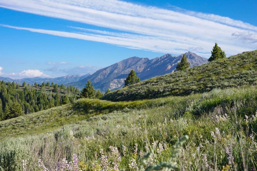 A scenic view of wildflowers along a mountain hiking trail and the Sawtooth Range near Sun Valley, Idaho in the distance.