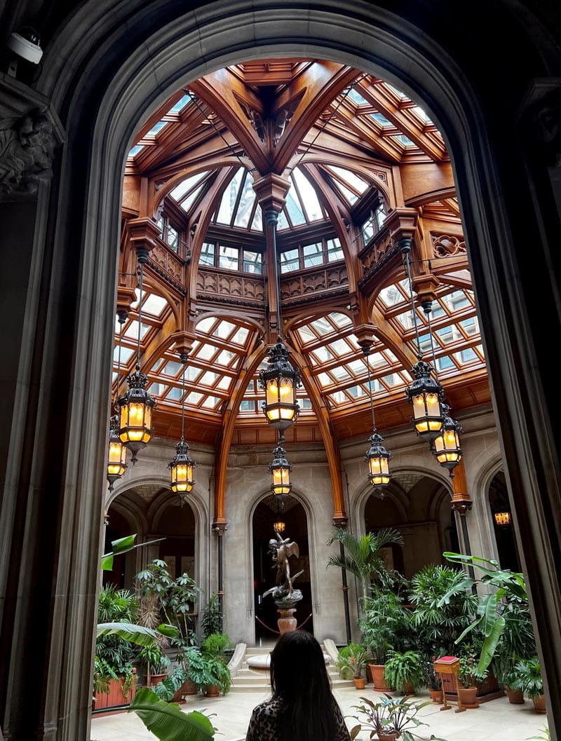 A young girl looks into a large atrium within the Biltmore Estates with high ceilings and plants around the base of the room.