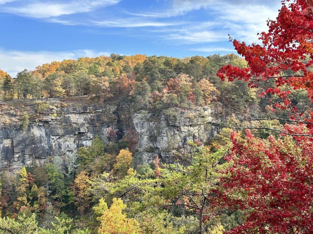 A scenic view during the fall in Cloudland Canyon State Park.