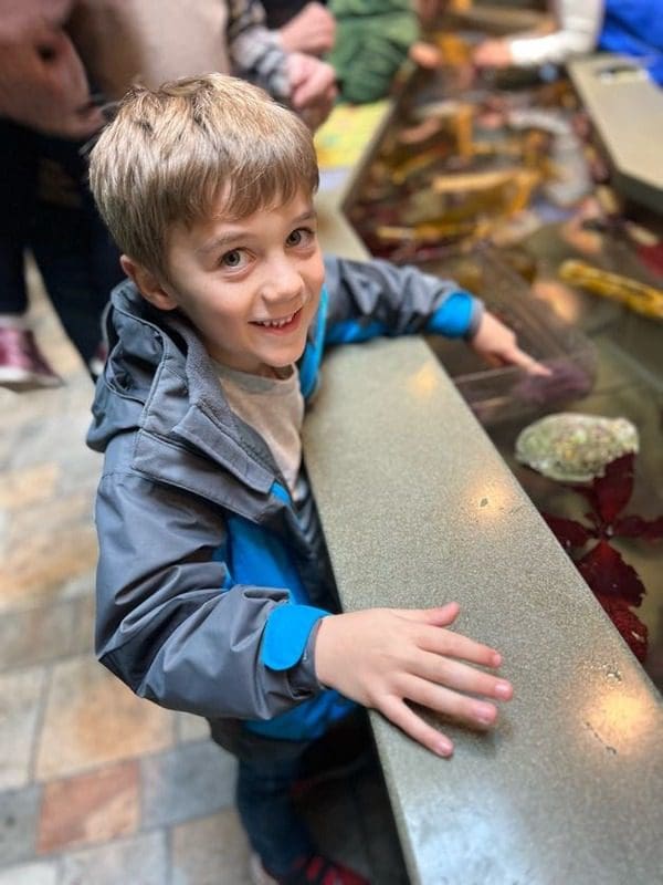 A young boy reaches into a touch tank.