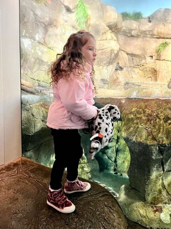 A young girl looks into an aquarium at Monterey Bay.