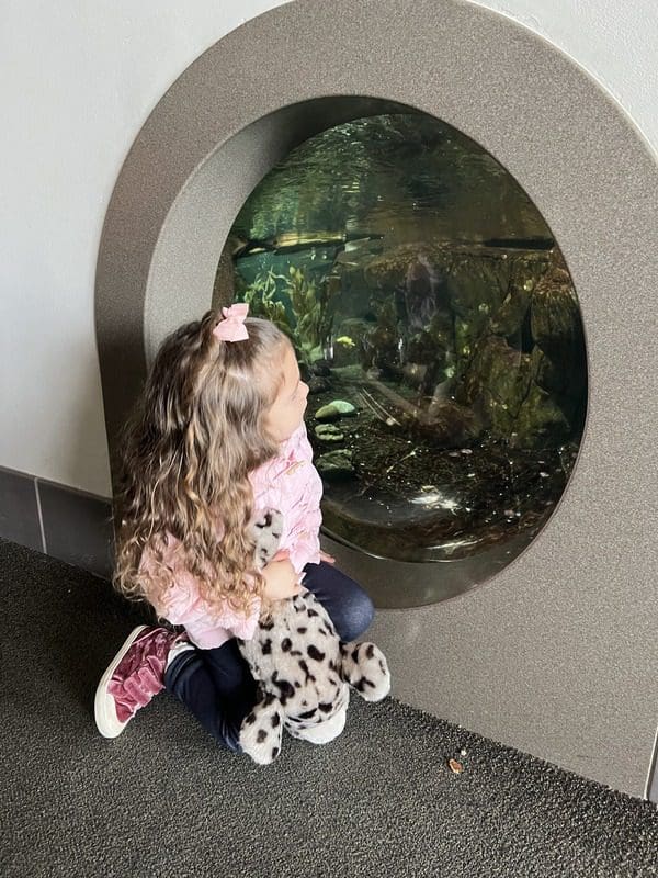 A young girl looks through an exhibit window into an aquarium at Monterey Bay Aquarium.