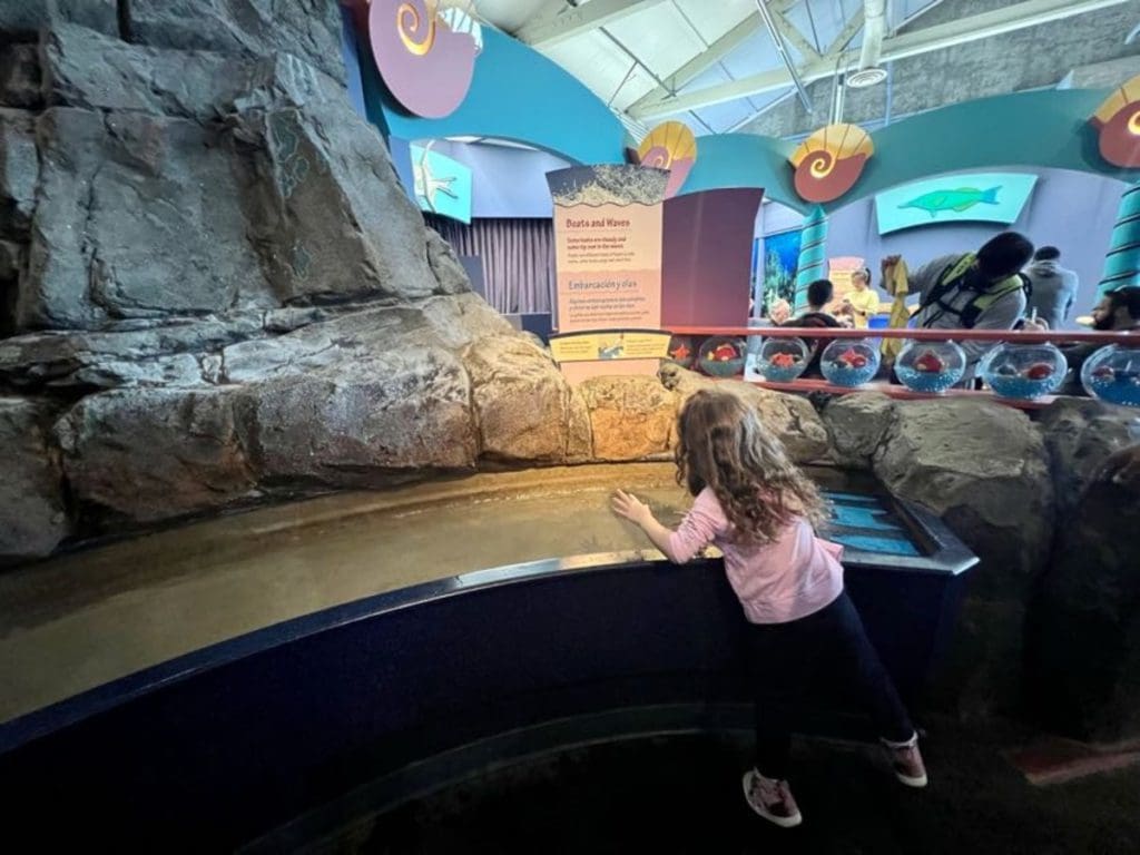 A young girl sticks her fingers in a touch tank at Monterey Bay Aquarium.