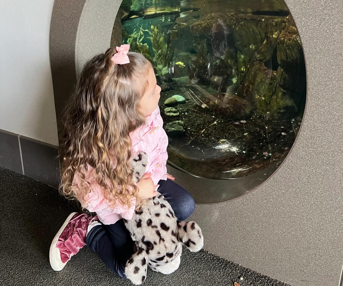 A young girl looks through an exhibit window into an aquarium at Monterey Bay Aquarium.