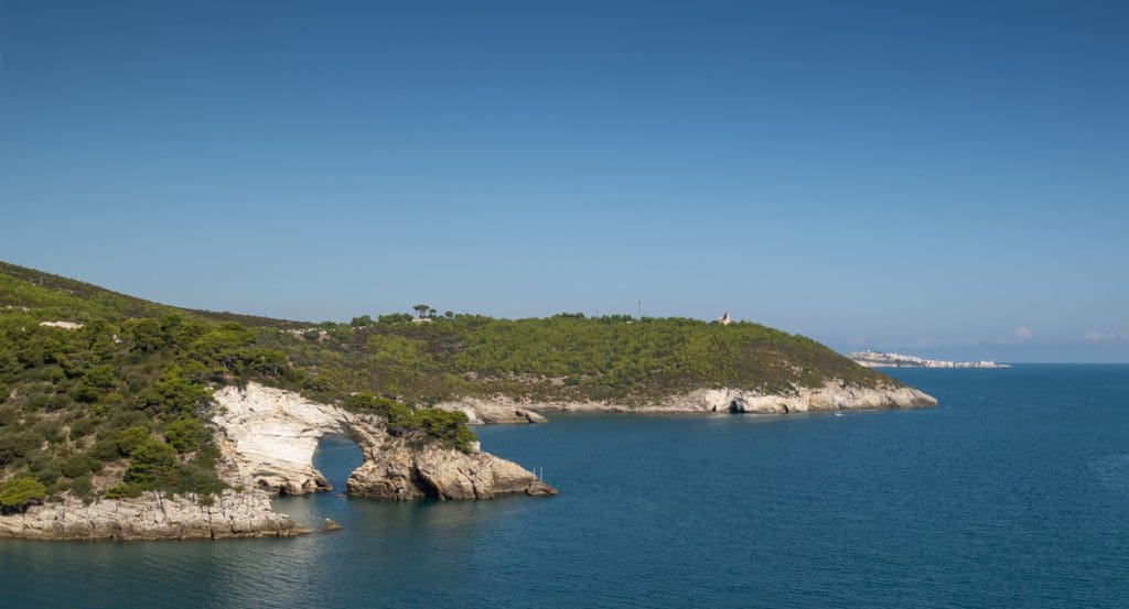 A scenic view of Gargano National Park along the ocean in Puglia.