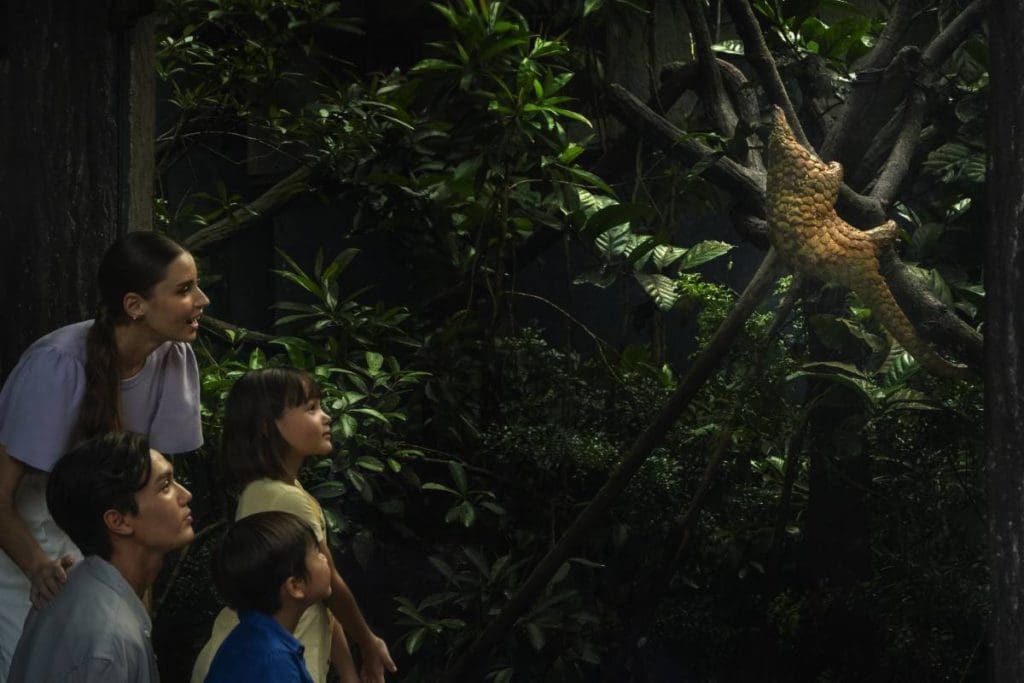 A family of four enjoys watching a nocturnal animal at the Night Safari in Singapore.