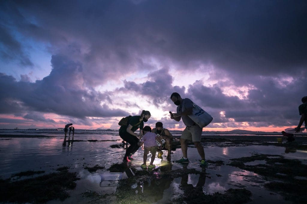 A family explores tide pools during a tour in Singapore.