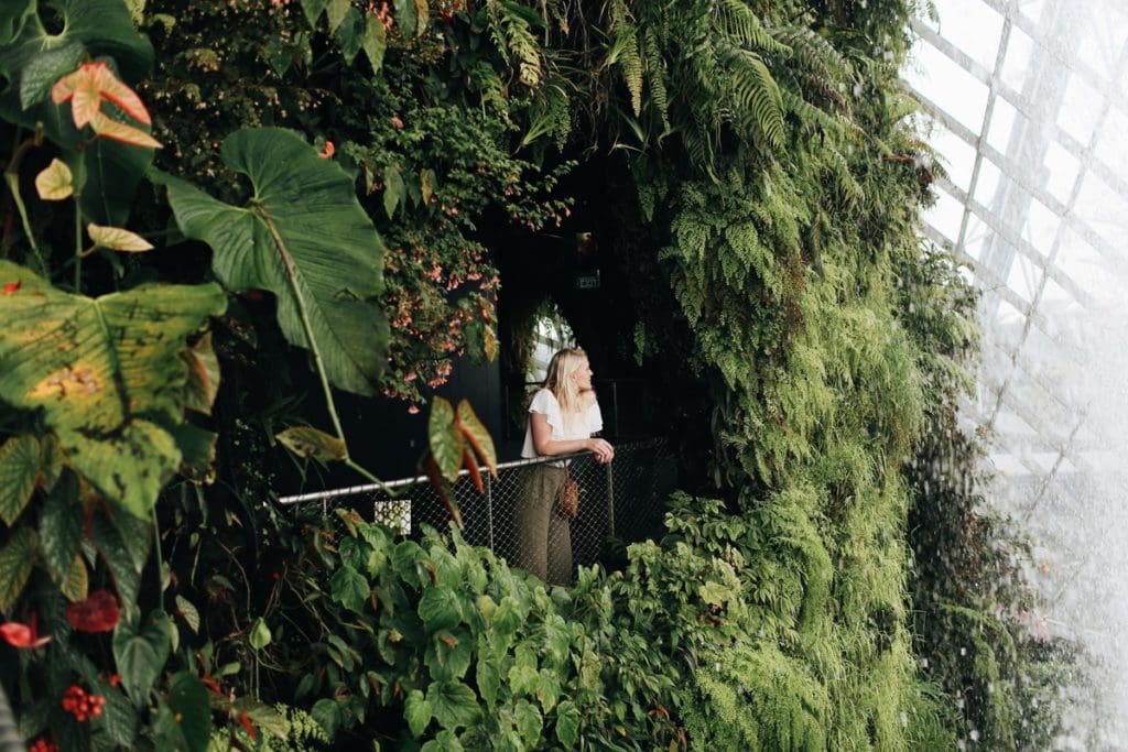 A woman lean's over a balcony area to admire the verdant foliage in the Cloud Forest at Gardens of the Bay in Singapore.
