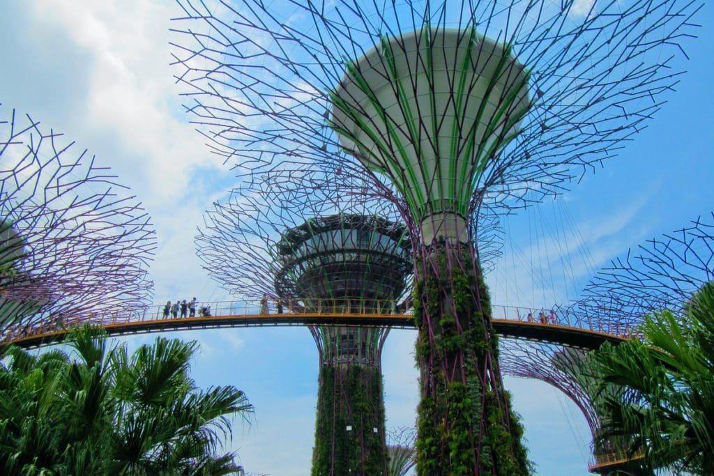 People walk along a pathway in the sky connecting the giant "Supertrees" in Singapore. 