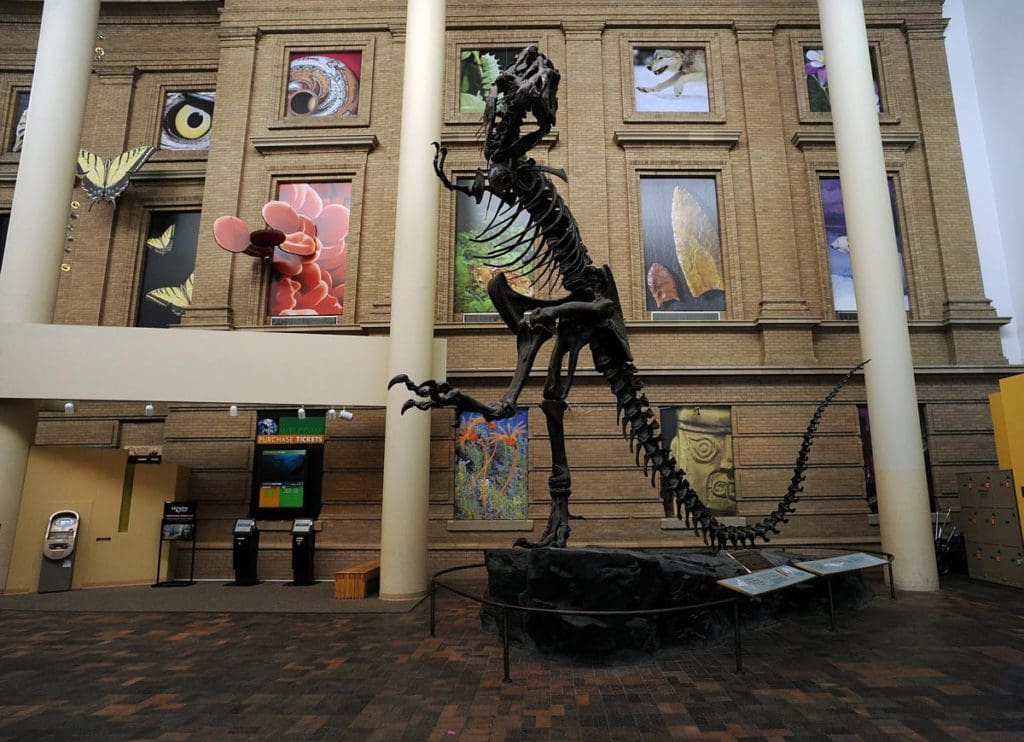 A dinosaur skeleton in the lobby of the Denver Museum of Nature & Science.