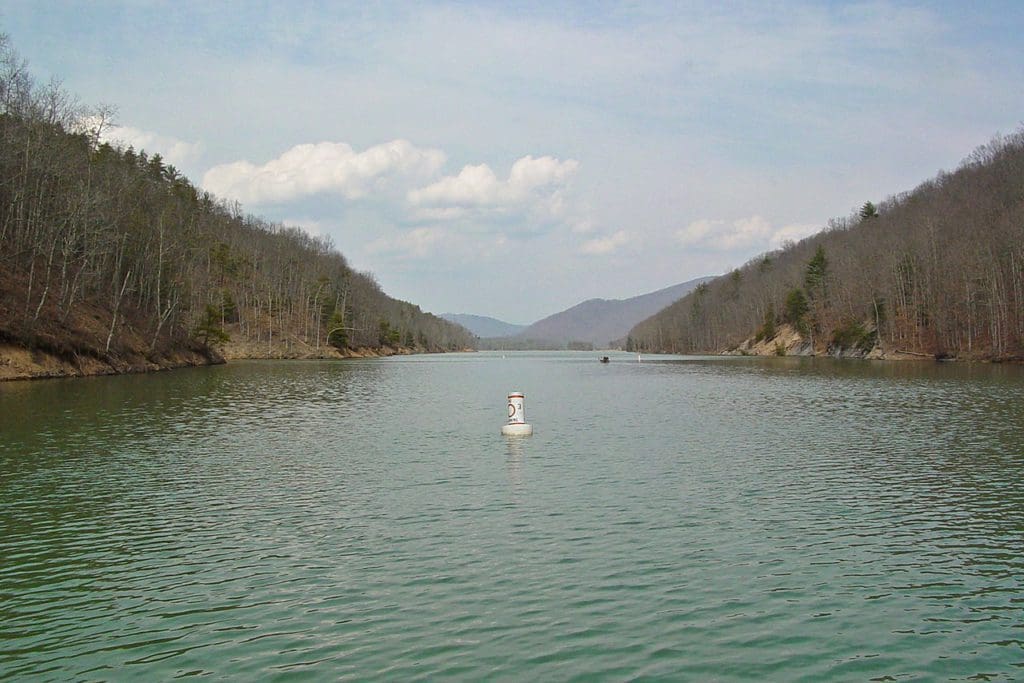 A buoy rests quietly on Lake Moomaw, one of the best lake destinations in Virginia with kids.