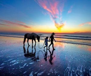 Mother and daughter walking a horse on the beach at sunset on Amelia Island.