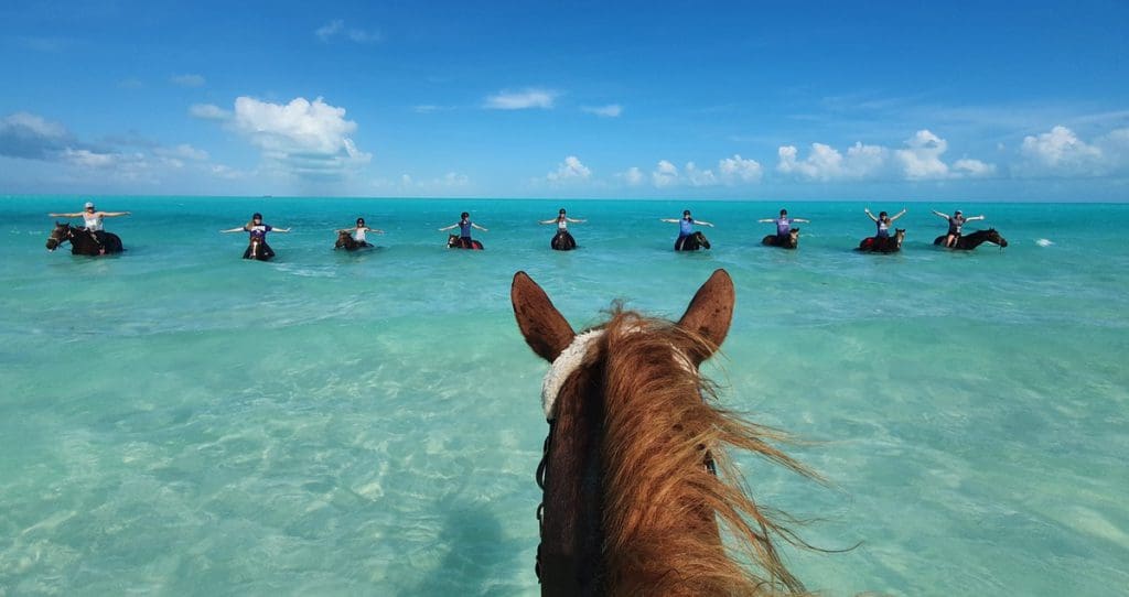 The tour group riding horses in the water with Provo Ponies, one of the best things to do in Turks & Caicos with kids.