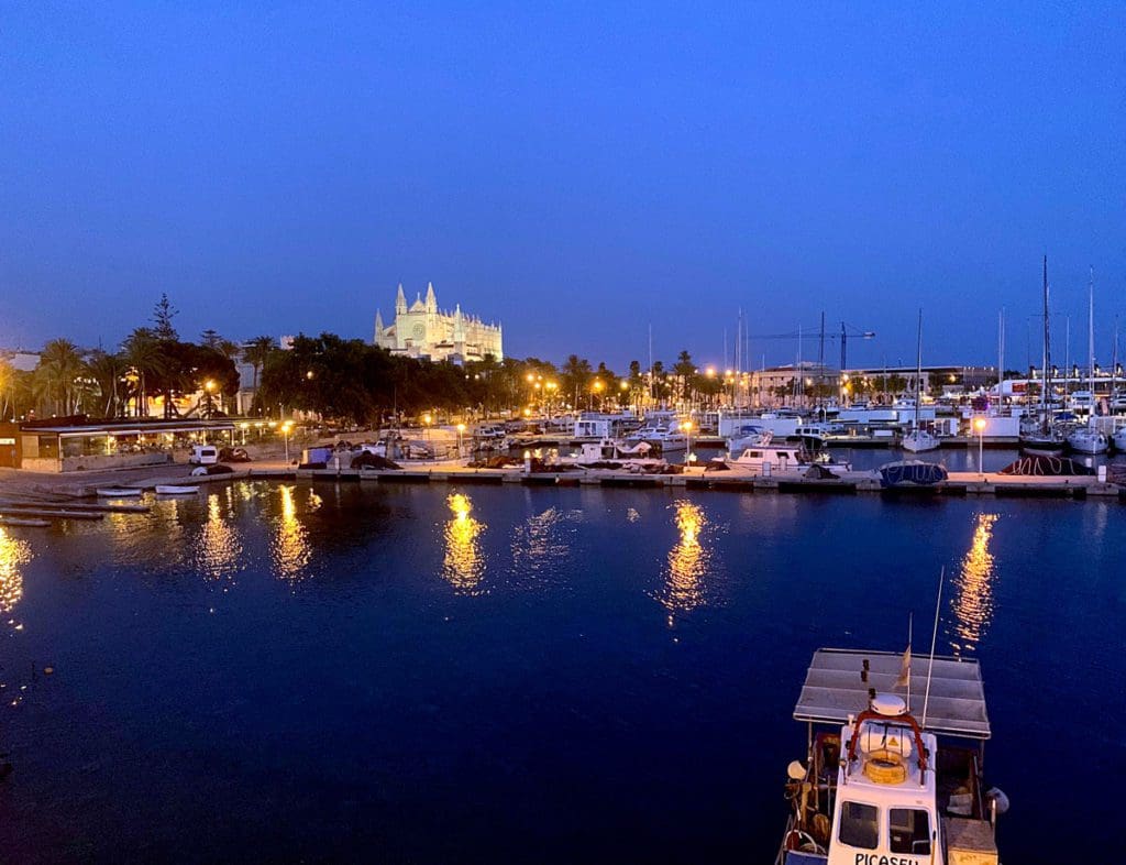 The port of Palma, lit up at night.