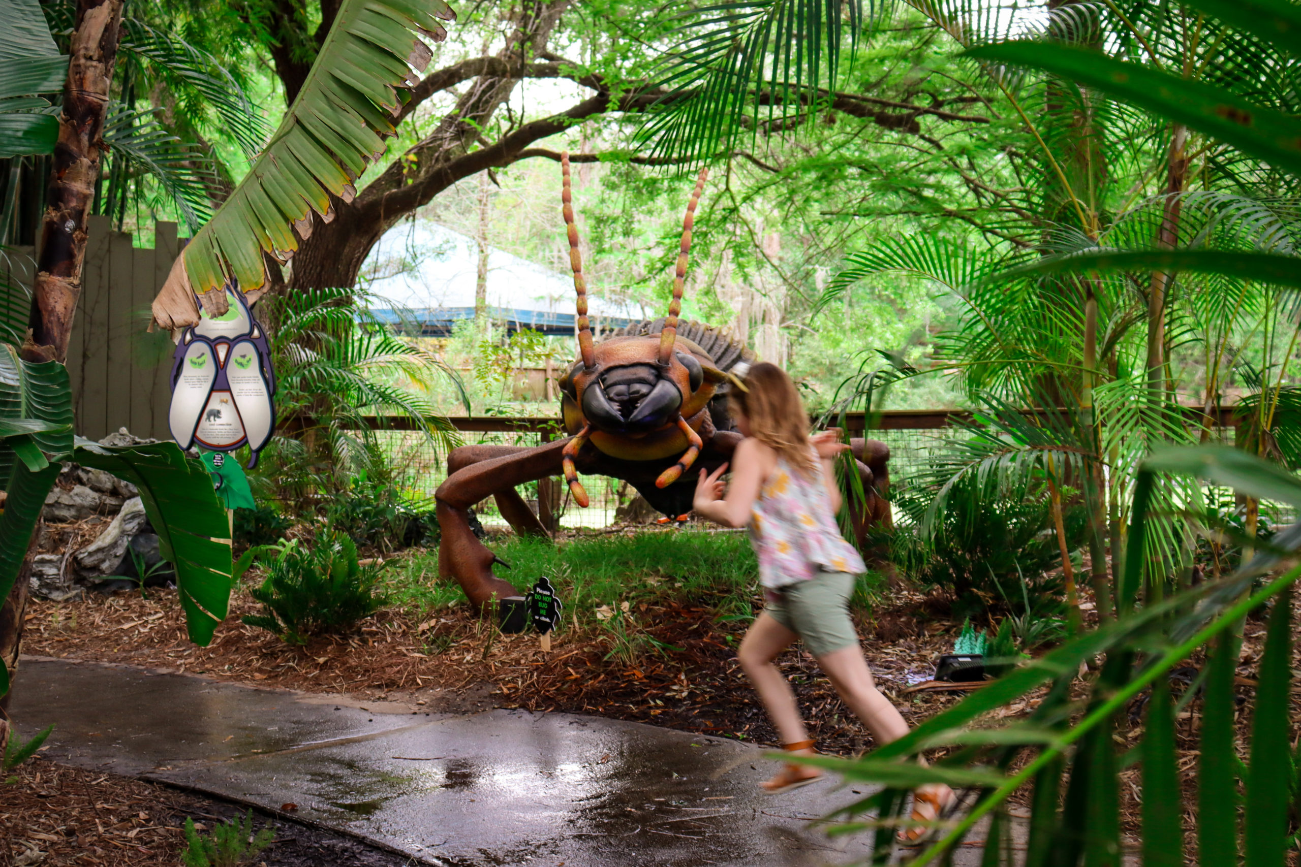 A young girl races by a large animatronic insect at ZooTampa, a must do when you visit Tampa Bay with Kids.
