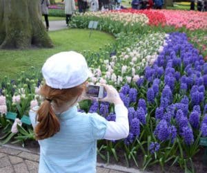 A young girl takes a picture of colorful flowers in Keukenhof, one of the best places to go in the Netherlands with kids.