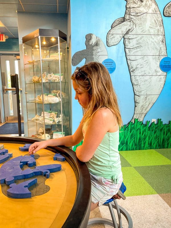 A young girl puts a puzzle together at the Manatee Viewing Center.