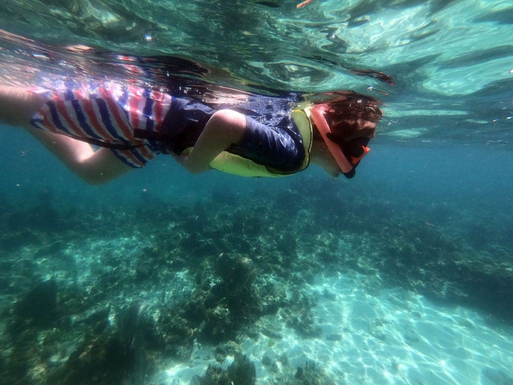 A young boy snorkels in the water.