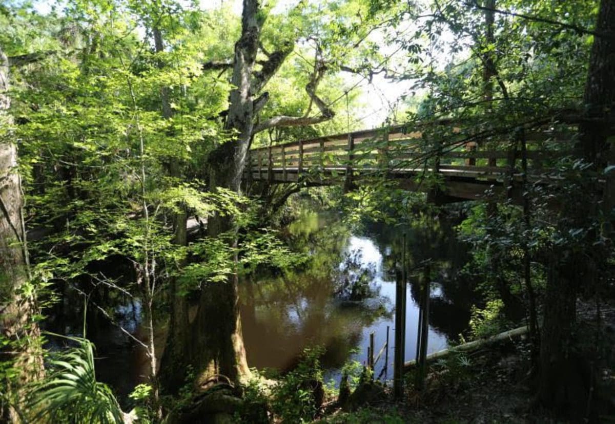 A lovely bridge crosses a river, surrounded by lush greens, at Hillsborough River State Park.