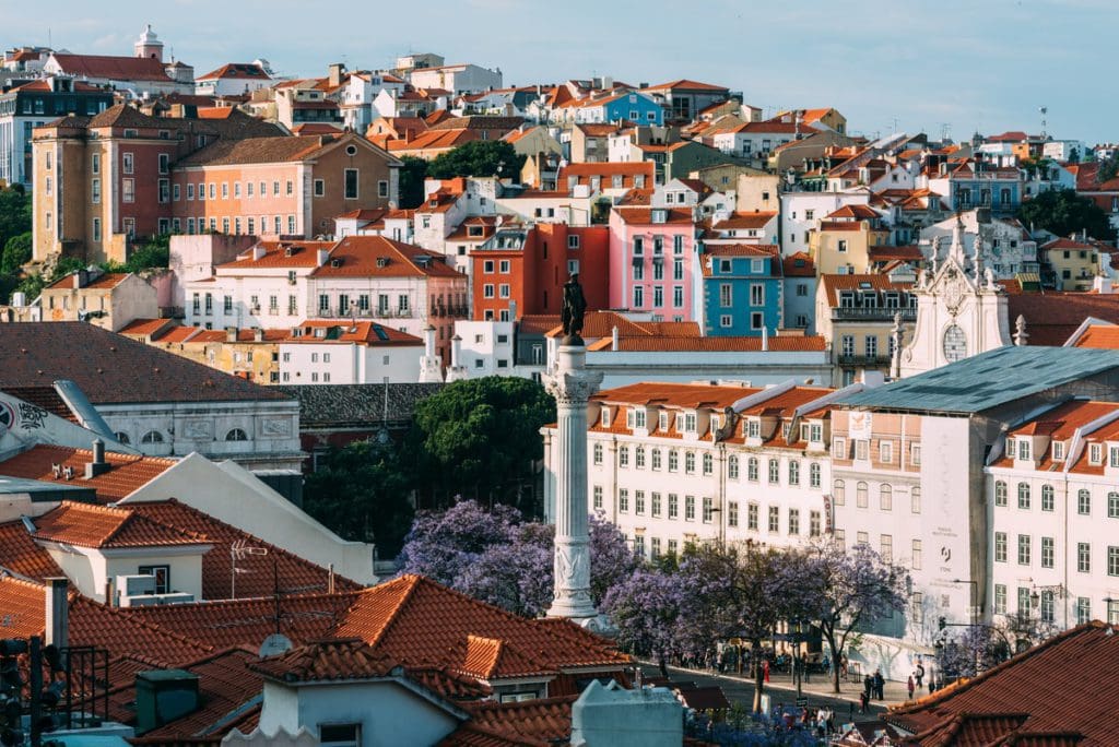 High perspective view of Rossio Square in Baixa district of Lisbon city, Portugal covered with violet Jacaranda leaves during the springtime.