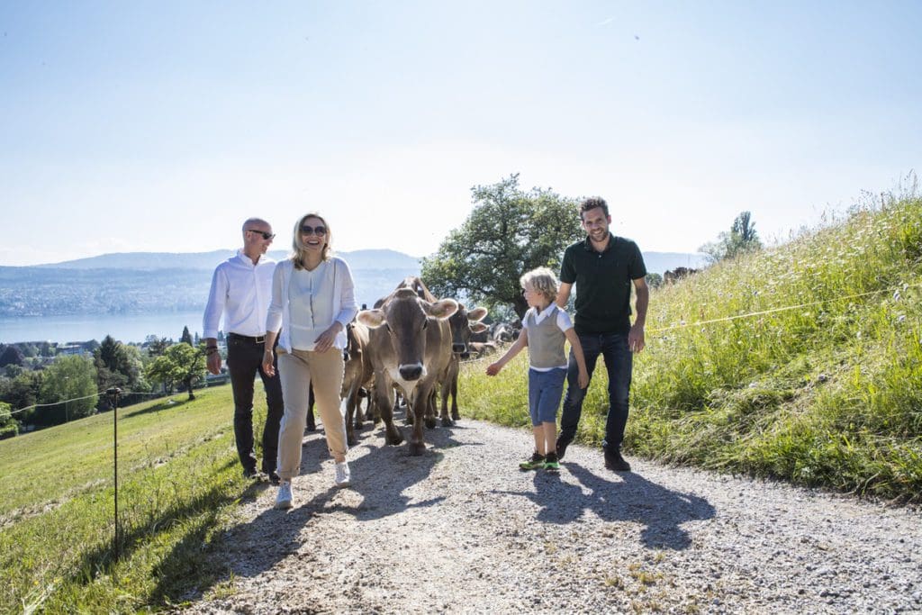 A family walks a cow with a farmer at Schlattgut Farm.