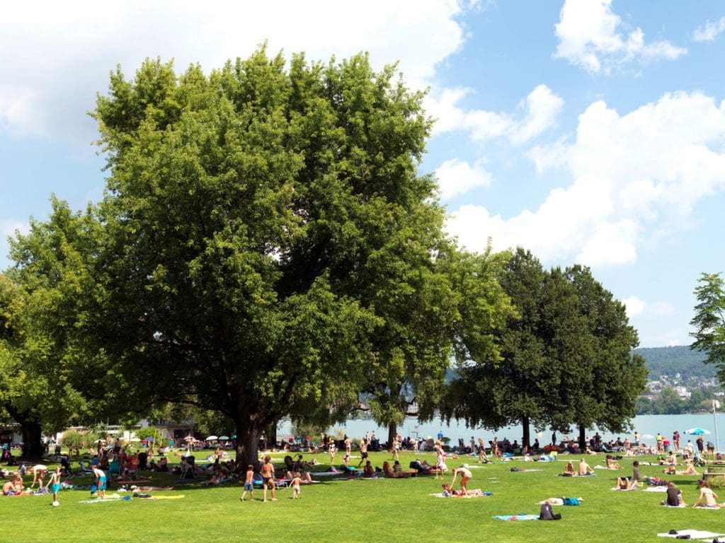 Several groups of people enjoy a sunny day on the grassy area of Mythenquai Beach Park.