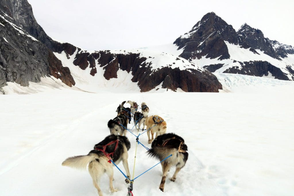 Dogs lead a dog sled in Alaska along the snow, a must-do activity on any Alaska itinerary for families.