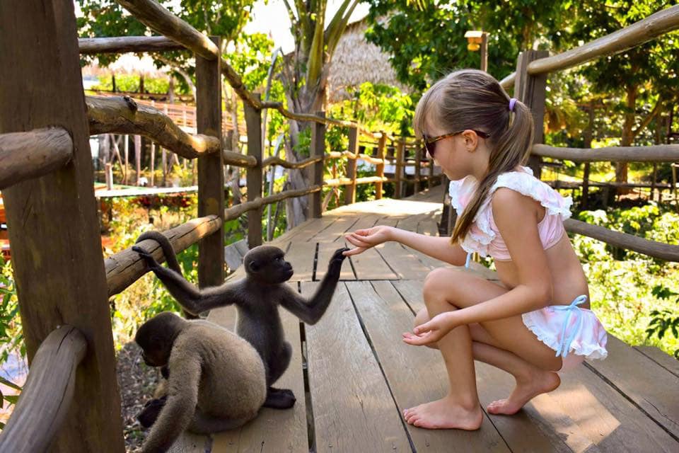 A young girl meets a monkey, while exploring the Amazon in Brazil with her family.