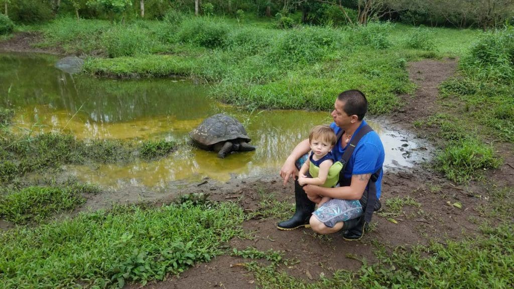 A dad and his young boy look on at a tortoise in the Galapagos Islands, one of the best places in South America with kids.