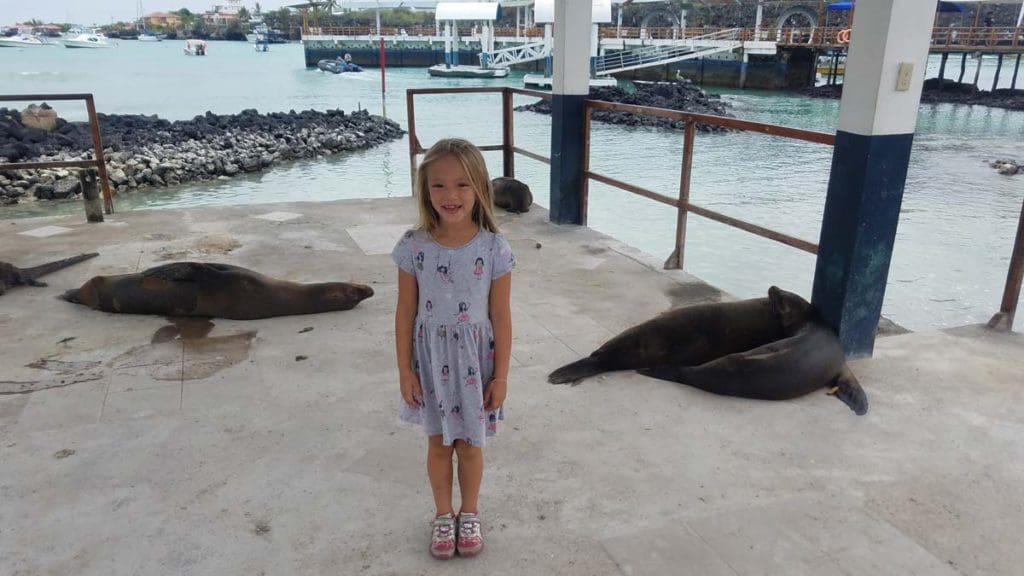 A young girl stands in front of two seals, while exploring the Galapagos Islands, one of the best places in South America with kids.