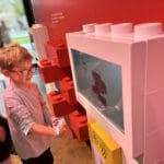 A young boy interacts with an exhibit at LEGOLAND® Billund Resort.