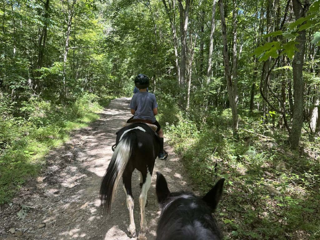 A young boy on horseback exploring the woods near Nemacolin Resort.