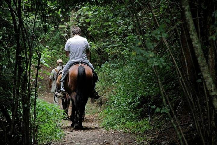 People ride along a trail on horseback near Lucca with a Tripadvisor tour, one of the best tours and classes in Tuscany with kids.